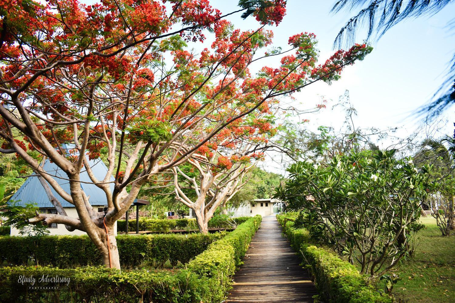 Tavewa Island Coralview Island Resort מראה חיצוני תמונה